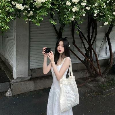 凤凰号